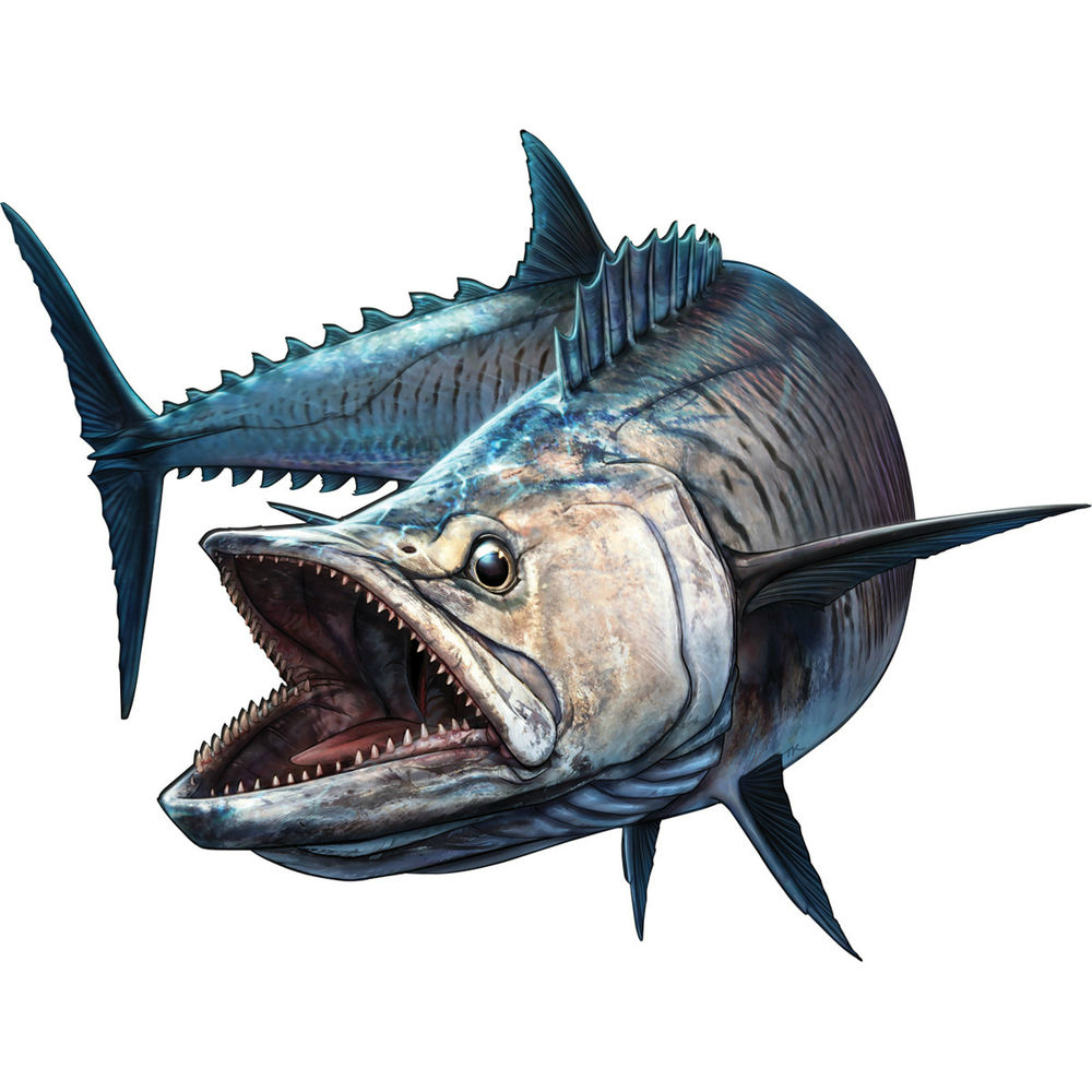 Bass Fishing Lure - Shark Fish Fishing Boat Rod Bumper